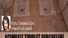 Acımasız tuvelet gerçekleri!