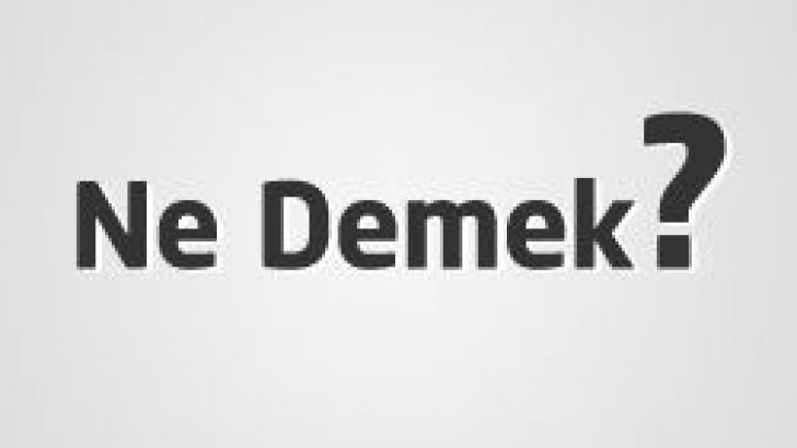 Cumhuriyet Ne Demek