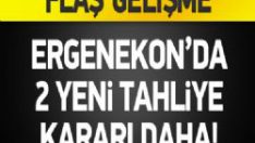 Ergenekon’da 2 Yeni Tahliye