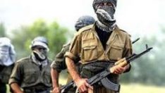 İşte PKKnın Şemdinlide verdiği kayıplar