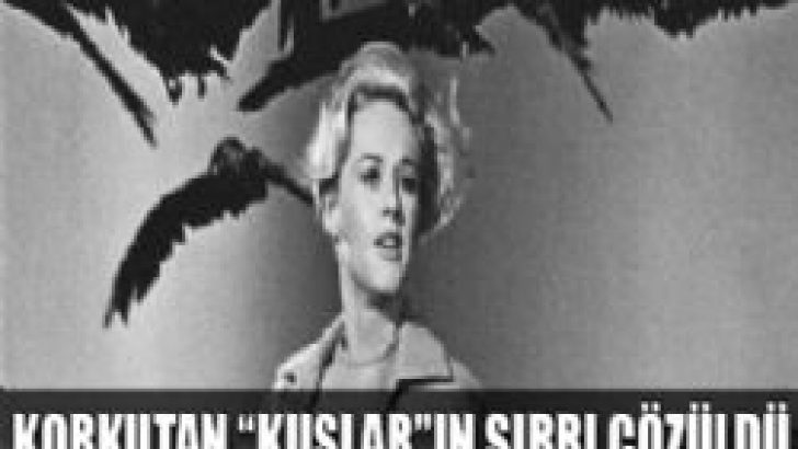 ‘Kuşlar’ filminin sırrını Türk profesör çözdü