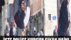 Polisi şehit eden kurşun BDP binasından!