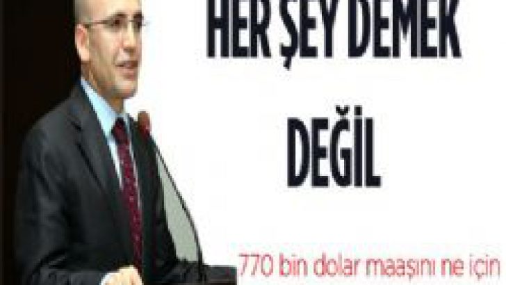 Şimşek, 770 bin dolarlık maaşı için ne dedi?