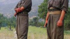 Şırnakta 20 PKKlı Öldürüldü