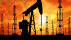 Türkiye için kritik petrol açıklaması