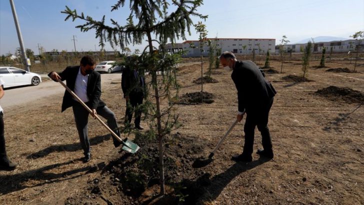 154 Fidan Toprakla Buluştu