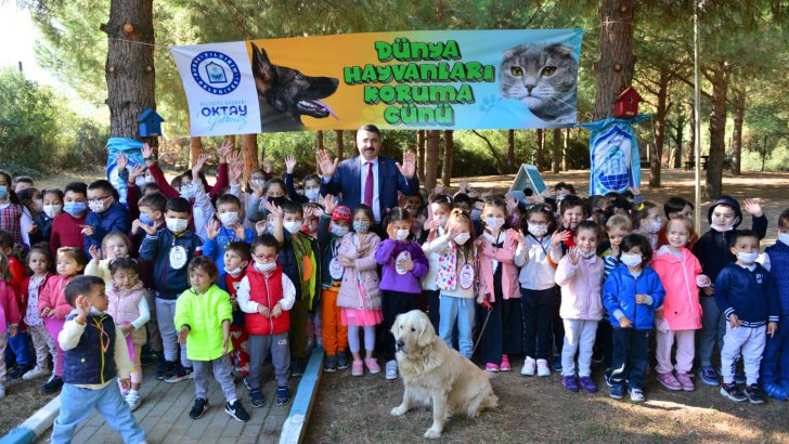 Yıldırım’da Sokak Hayvanları Emin Ellerde